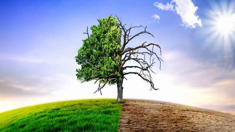 Hoy se celebra el Día Mundial del Clima