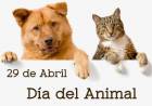 Lunes 29 de abril se festeja el Día de los animales en nuestro país