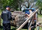 Control de Fauna: más de 300 aves liberadas en Villa Ocampo