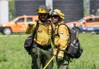 Provincia continúa capacitando brigadistas forestales