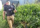 Ley de Microtráfico: inactivaron el décimo búnker de venta de drogas en Frontera