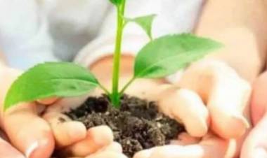 Hoy se celebra el día de la Educación Ambiental