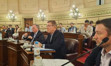 Rodrigo Borla//Legislativas-Sesión Extraordinaria N°5, Período 141.