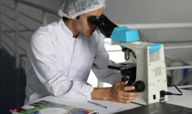 Cada 7 de abril se celebra el Día Mundial de la Salud