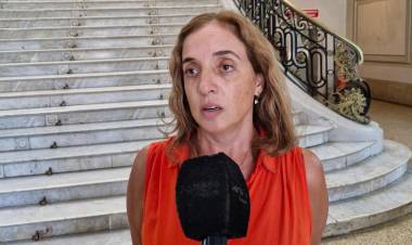 Dengue: situación epidemiológica en la Provincia de Santa Fe