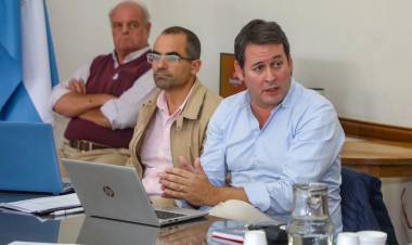 La Comisión de Protección Vegetal santafesina recomienda declarar “plaga” a la “chicharrita de maíz”