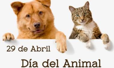 Lunes 29 de abril se festeja el Día de los animales en nuestro país