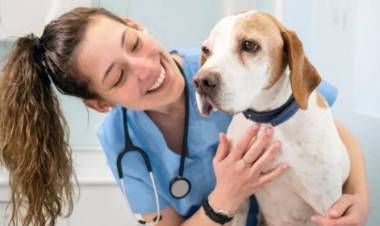 "Martes 30 de abril: Celebración del Día Mundial del Veterinario en Honor a los Profesionales de la Salud Animal"