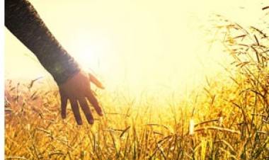 24 de mayo se celebra el día Internacional de las Mujeres por la Paz y el Desarme 