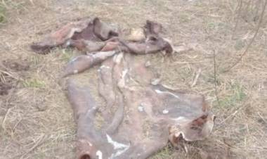 Sigue la faena Clandestina en Marcelino Escalada 