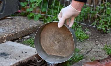 Se detectó el primer caso autóctono de dengue en la provincia de Santa Fe   