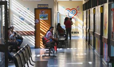  Cardiopatías congénitas: en la salud pública se realizan en promedio 140 intervenciones al año