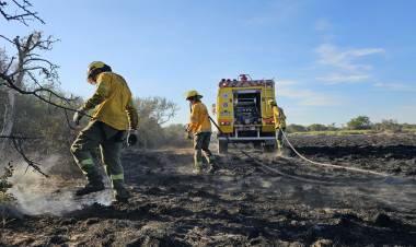 Brigadistas lograron apagar los incendios en Cacique Ariacaiquín