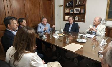 BORLA FOMRÓ PARTE DE UNA REUNIÓN EN EL SENADO POR DESARROLLO E INVERSIONES EN TELECOMUNICACIONES Y TIC.