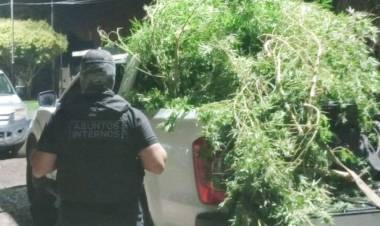 Empalme Villa Constitución: múltiples allanamientos, detenidos, secuestro de armas y estupefacientes