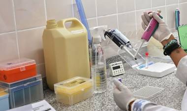 Provincia fortalece el diagnóstico de psitacosis mediante transferencia tecnológica