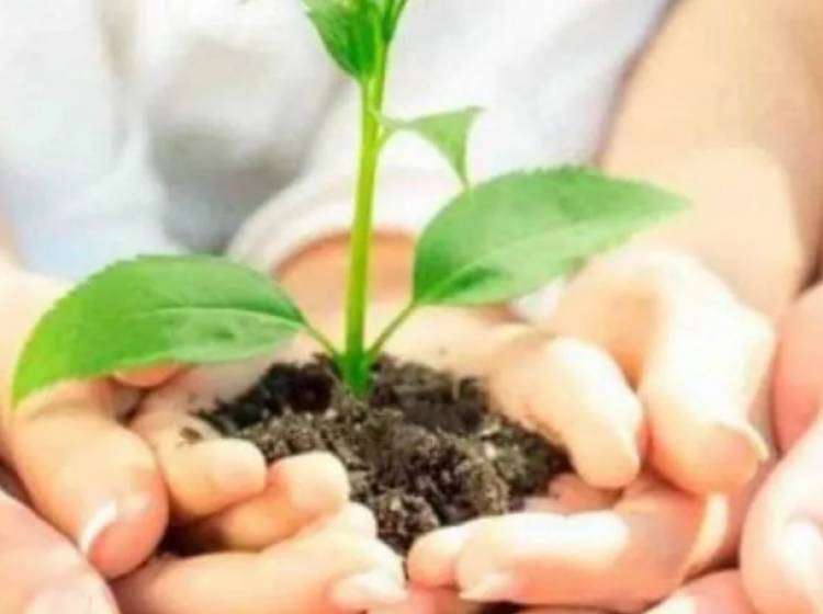 Hoy se celebra el día de la Educación Ambiental