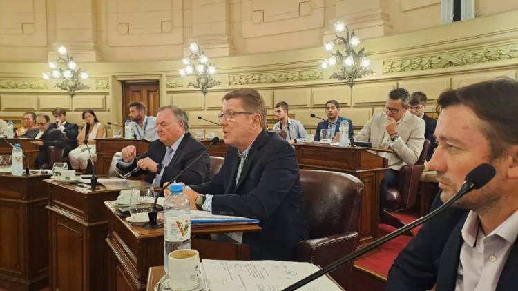 Rodrigo Borla//Legislativas-Sesión Extraordinaria N°5, Período 141.