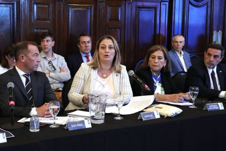 La ministra Ciancio participó del Primer Consejo Federal de Salud