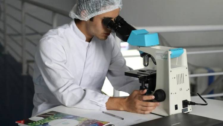 Cada 7 de abril se celebra el Día Mundial de la Salud