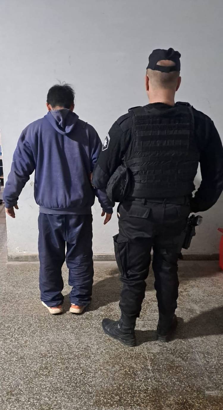 Aprehendieron a un sujeto por delitos contra la propiedad