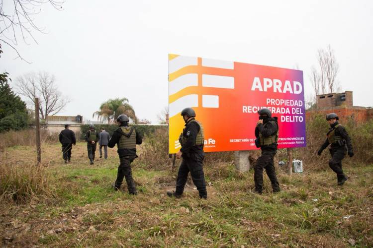 Decomisaron tres lotes de una organización criminal