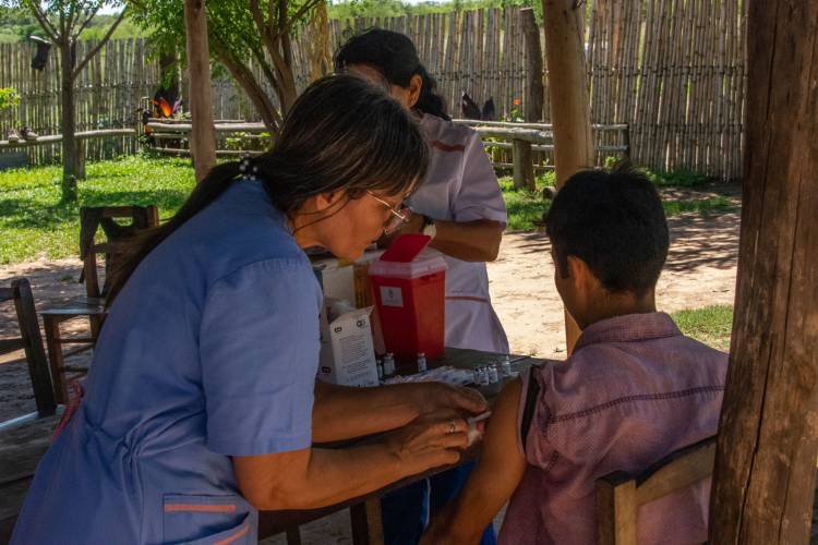 Objetivo Dengue: vacunar en la isla, casa por casa   