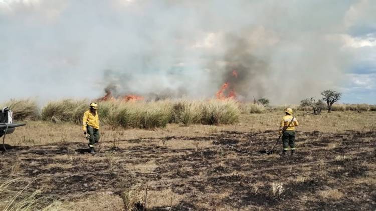 Brigadistas trabajan para controlar incendio en Cacique Ariacaiquín