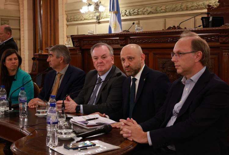 Eficiencia energética: cómo es el plan de inversión para ahorrar hasta un 40 ?consumo que el Gobierno explicó en el Senado